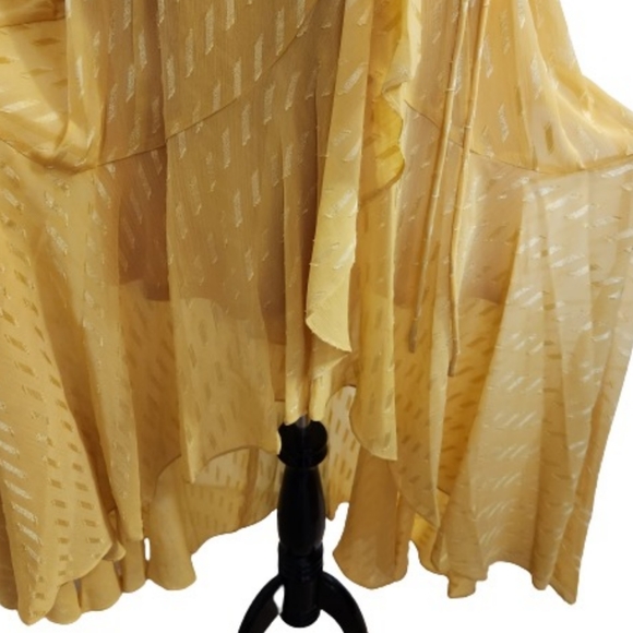 🆕️⬇️🎉HOST PICK🎉 Maison Tara Clip Dot Chiffon Maxi Dress - Picture 6 of 15